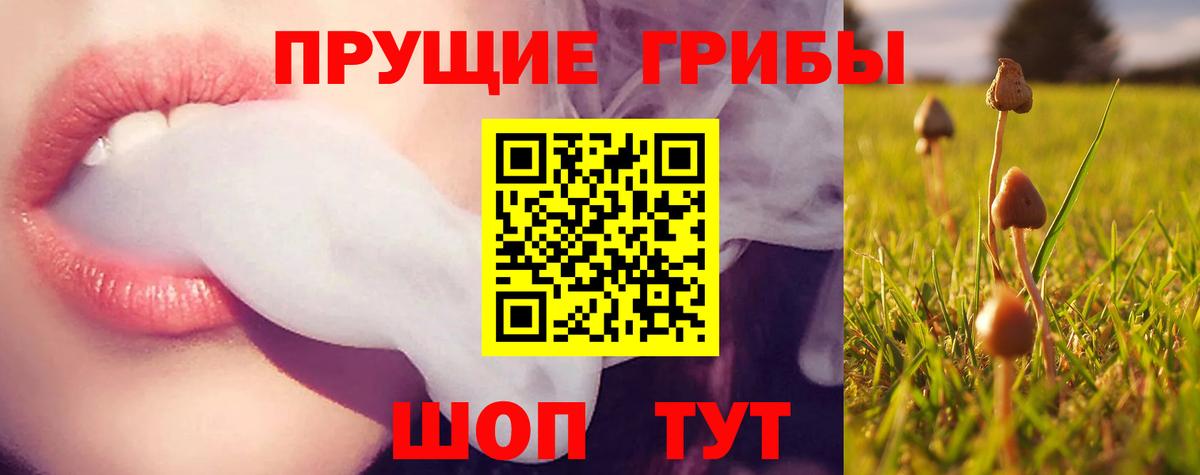 Псилоцибиновые грибы мухоморы  Вход с VPN  Архангельск 